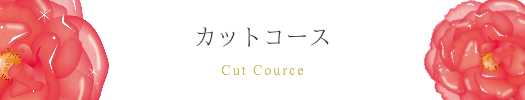 カットコースメニュー