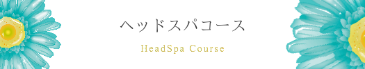 ヘッドスパコースメニュー