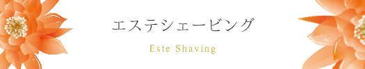 エステシェービングメニュー